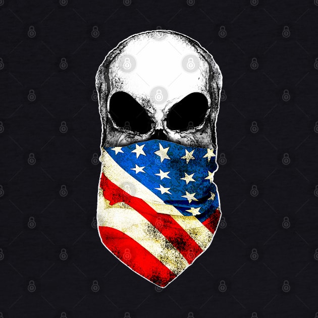 skull, bandanas, american, usa, flag, by Collagedream